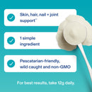 Vital Proteins Marine Collagen Peptides for Joint, Hair, Skin, and Nails Support Supplement Powder, 7.8 oz