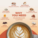 RYZE SUPERFOODS RYZE n Shine Bundle, USDA Organic Mushroom Medium Roast Coffee + Probiotic Coffee Creamer with 6 Adaptogenic Mushrooms for Better Energy, Focus, Digestion, Immunity, 30 + 30 Servings
