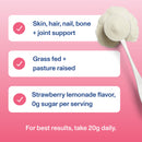 Vital Proteins Grass-Fed Collagen Peptides Powder Joint Supplement for Hair, Skin, and Nails, Strawberry Lemonade, 11.34 oz