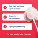 Vital Proteins Collagen Peptide Powder Supplement, Ice Pop, 10.8 oz