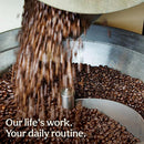 Don Francisco's Vanilla Nut Whole Bean Coffee, Medium Roast, 20 OZ Bag